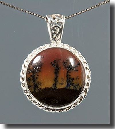 Picture for category Petrified Wood