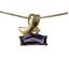 14k Gold Iolite & Diamond Pendant