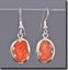 Dryhead Agate Silver Earrings