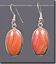 Dryhead Agate Silver Earrings
