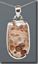 Petrified Bogwood silver Pendant