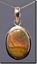 Owyhee War Bonnet Picture Jasper Silver Pendant