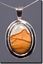 Owyhee Wild Horse Picture Jasper Silver Pendant
