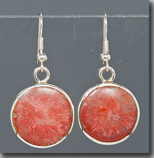 Agatized Utah Red Horn Coral Silver Earrings