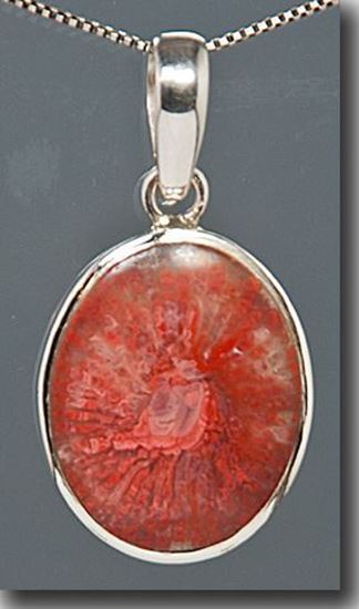 Utah Agatized Red Horn Coral Silver Pendant