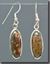 Bloodstone Silver Earrings