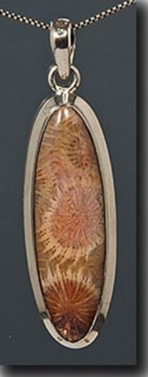 Indonesian Fossil Coral Silver Pendant