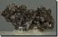 Sphalerite & Calcite  from  Tennessee